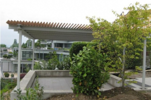 Pergola mit speziellem Holzraster